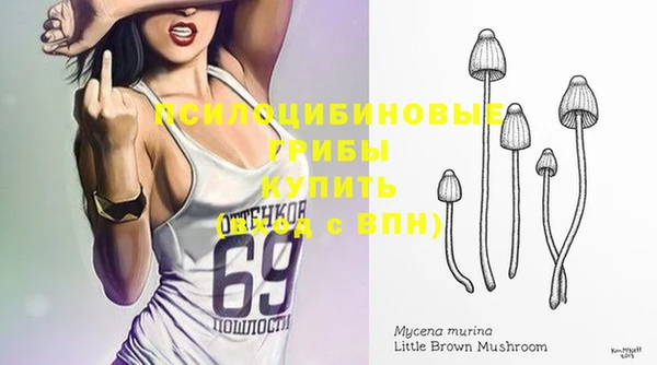 а пвп мука Белокуриха