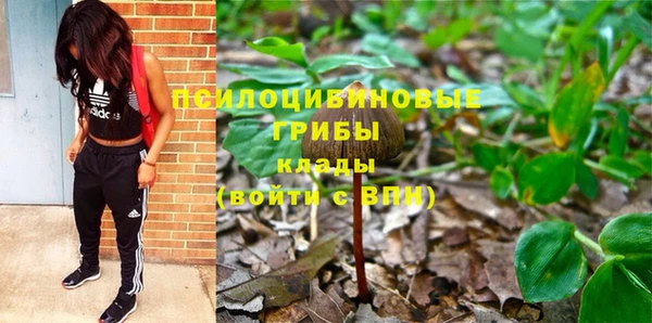 а пвп мука Белокуриха