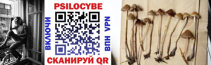 Псилоцибиновые грибы мицелий  Брюховецкая 